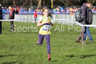 Girls under-13s 2017 British Athletics Liverpool Cross Challenge, Sefton Park, Liverpool. Photo:  David T. Hewitson/Sports for All Pics